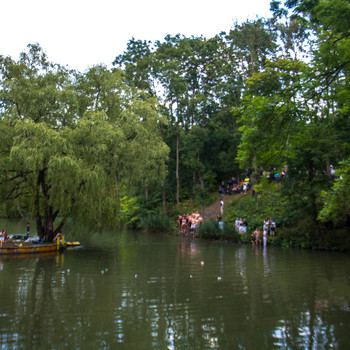 Thumb img 2308 d90bdbec2e94b848fa4f5165a3aede85