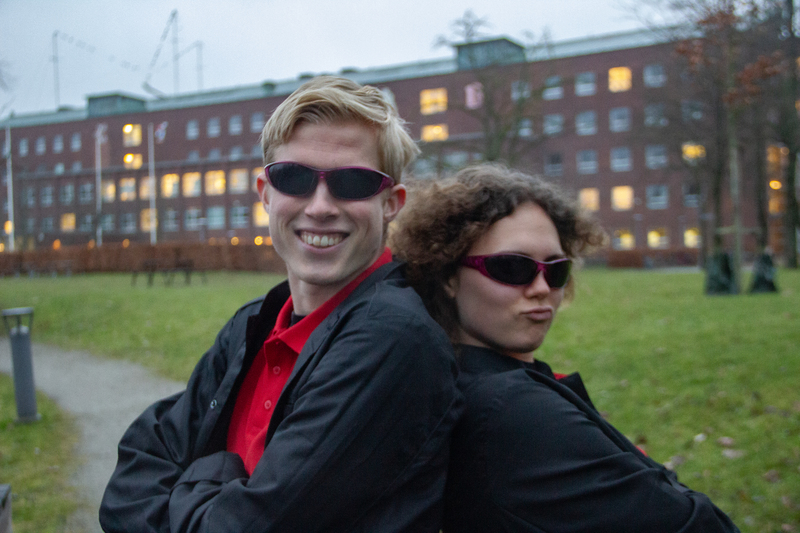 Large img 7379 8f6d0f2ceeab1bf900ffd724fb8350b1